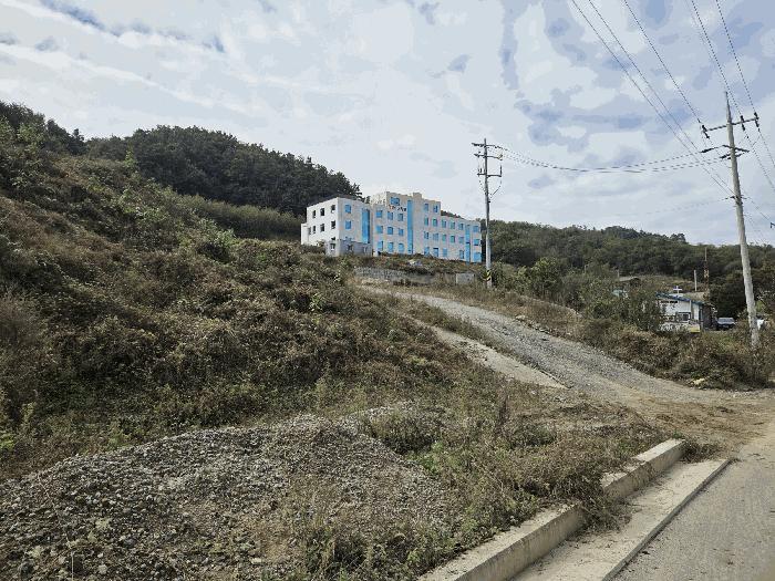 충북 충주시 대소원면 대소리 81-1 임야 경매 물건 사진