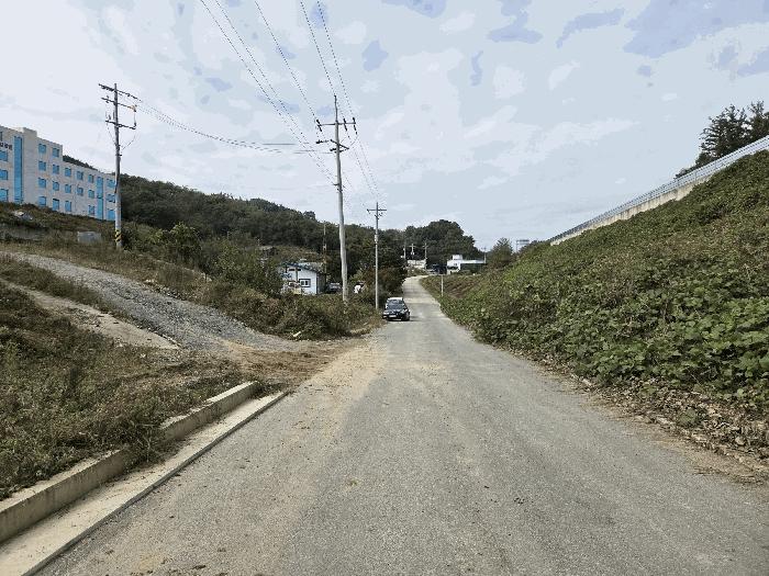 충북 충주시 대소원면 대소리 81-1 임야 사진 2