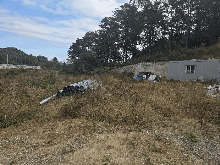 충북 충주시 대소원면 대소리 81-1 임야 사진 5