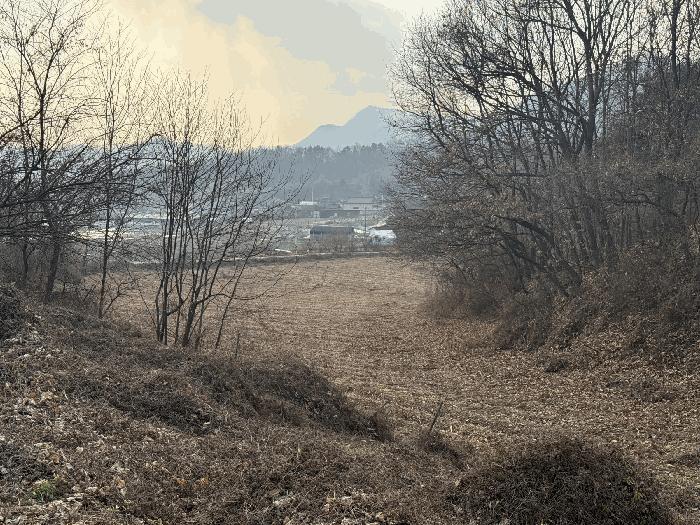 충북 음성군 원남면 보룡리 42-5 축사(농가시설) 사진 4