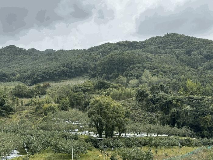 충북 충주시 수안보면 사문리 209 전 경매 물건 사진