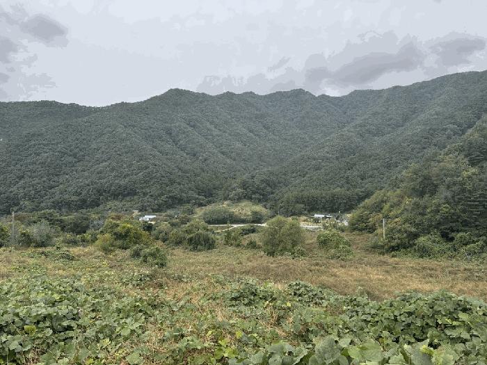 충북 충주시 수안보면 사문리 209 전 사진 3