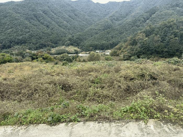 충북 충주시 수안보면 사문리 209 전 사진 5