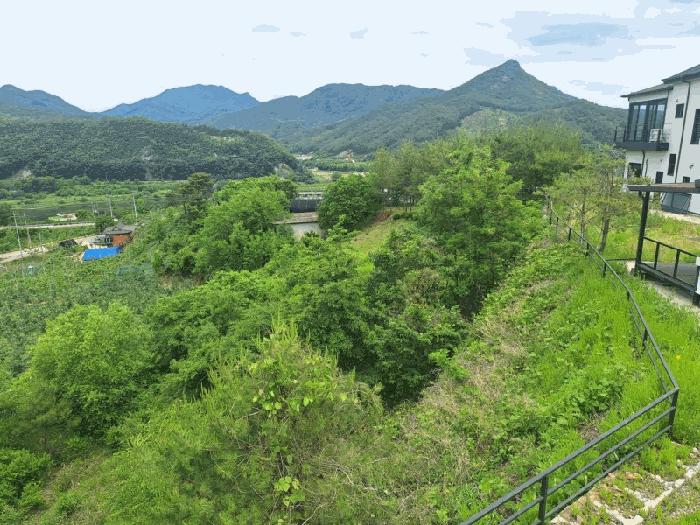 충북 영동군 양강면 묵정리 228-2 답 경매 물건 사진