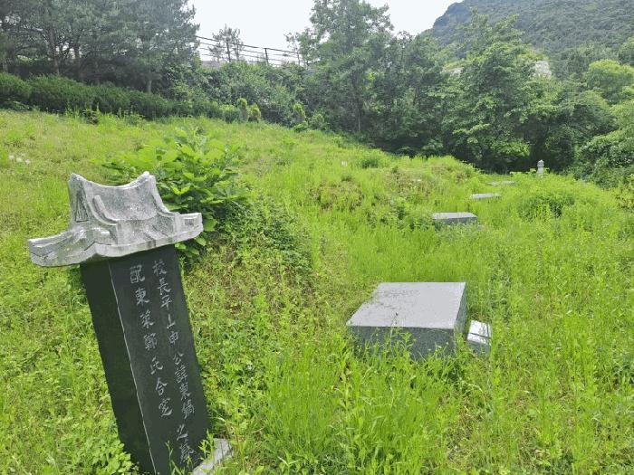 충북 영동군 양강면 묵정리 228-2 답 사진 6