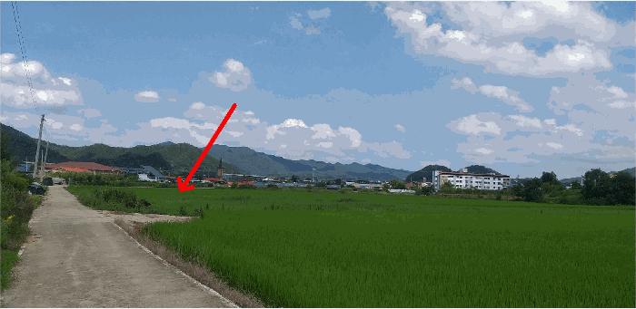 충북 옥천군 이원면 강청리 271-1 답 경매 물건 사진