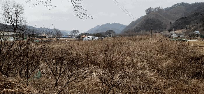 충북 괴산군 청안면 부흥리 65-1 답 사진 2