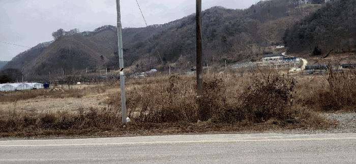 충북 괴산군 청안면 부흥리 65-1 답 사진 4