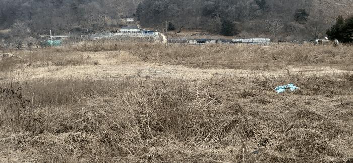충북 괴산군 청안면 부흥리 65-1 답 사진 5