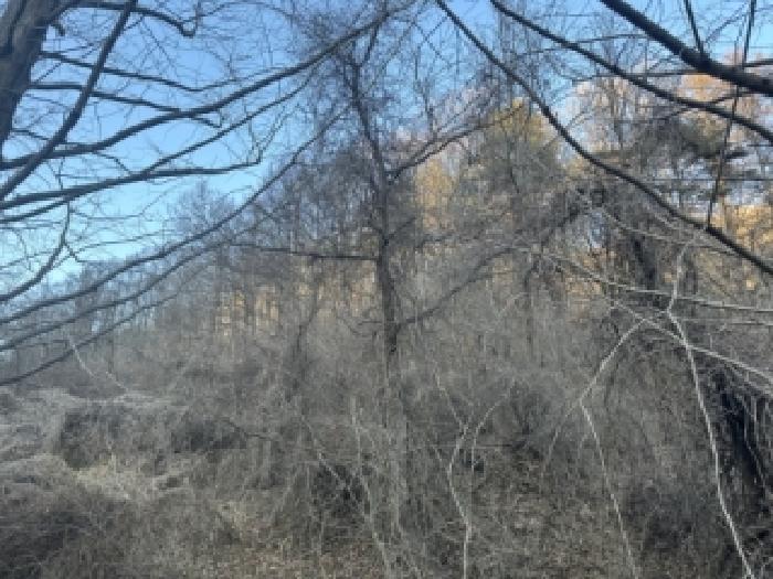 충북 청주시 상당구 미원면 미원리 613-3 전 사진 6