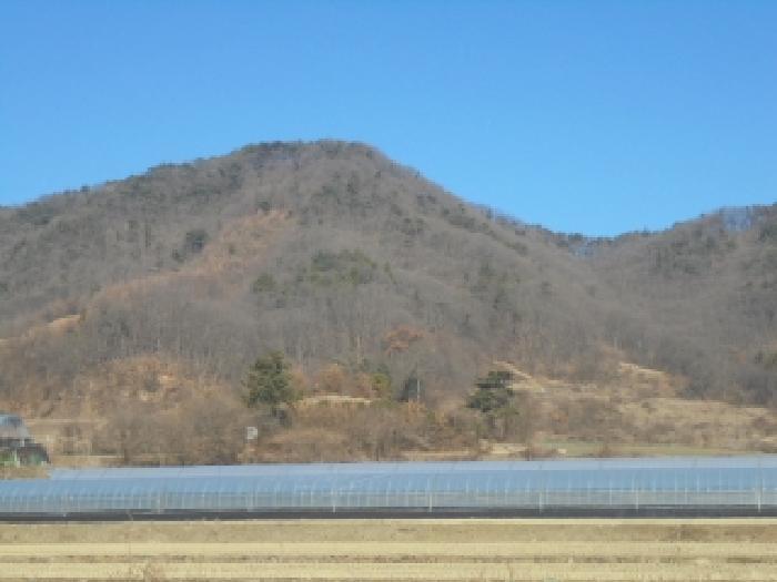 충북 청주시 흥덕구 옥산면 장동리 산45 임야 경매 물건 사진