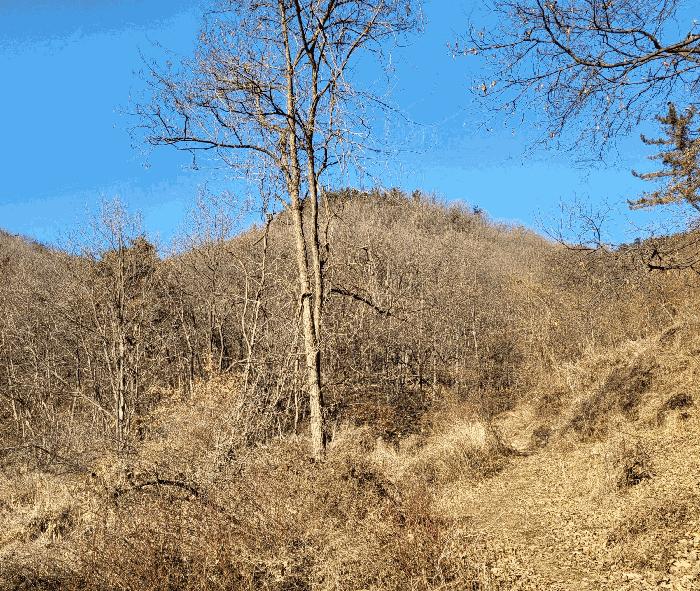 충북 청주시 흥덕구 옥산면 장동리 산45 임야 사진 2