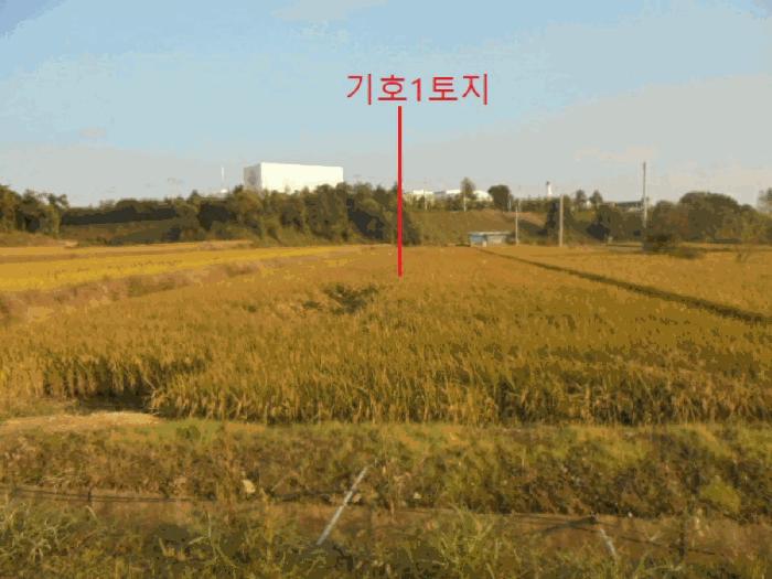 충북 음성군 대소면 삼호리 790 답 경매 물건 사진