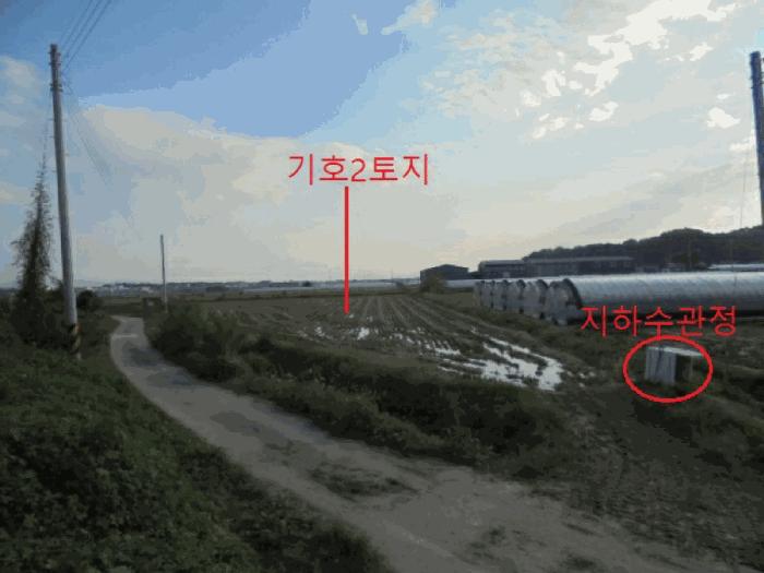 충북 음성군 대소면 삼호리 790 답 사진 2