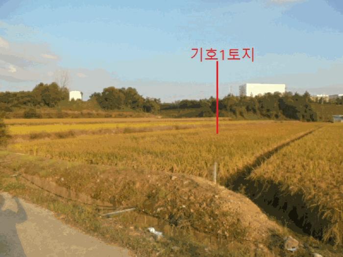 충북 음성군 대소면 삼호리 790 답 사진 4