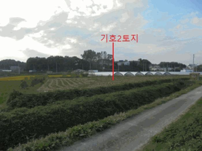 충북 음성군 대소면 삼호리 790 답 사진 5