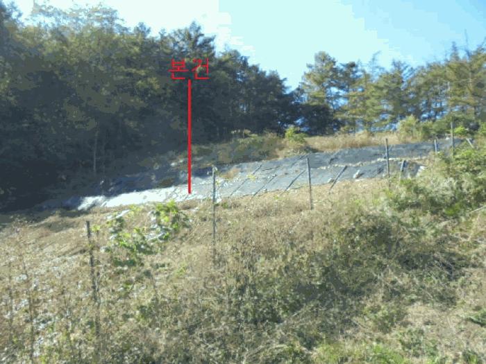 충북 단양군 단성면 회산리 141 전 사진 3