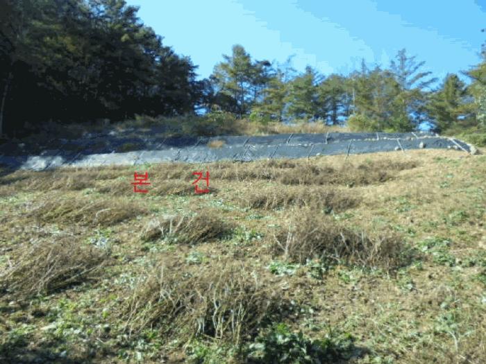충북 단양군 단성면 회산리 141 전 사진 5