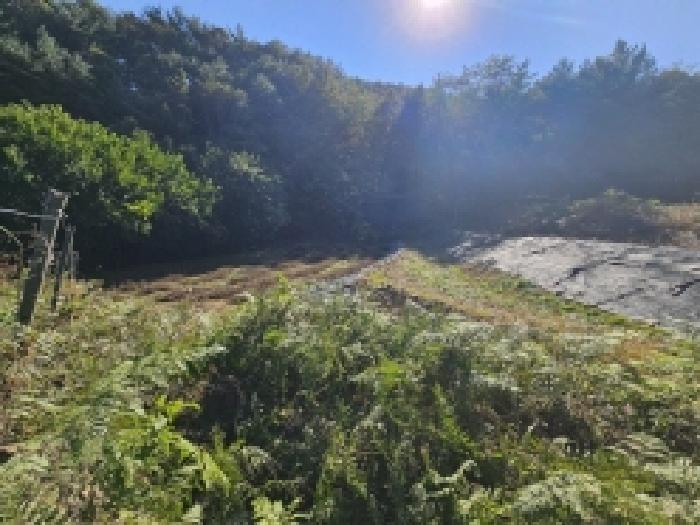 충북 단양군 단성면 회산리 141 전 사진 6