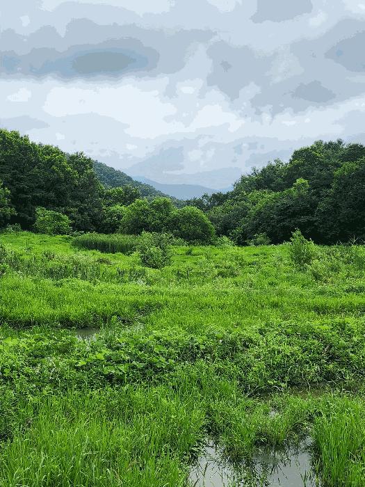 충북 충주시 앙성면 영죽리 758-1 답 사진 2