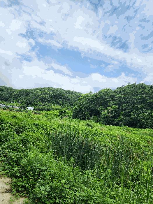 충북 충주시 앙성면 영죽리 758-1 답 사진 3