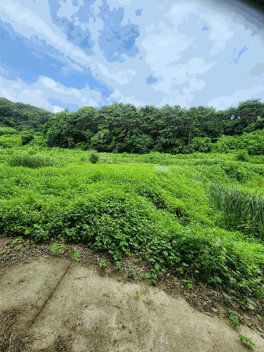충북 충주시 앙성면 영죽리 758-1 답 사진 4