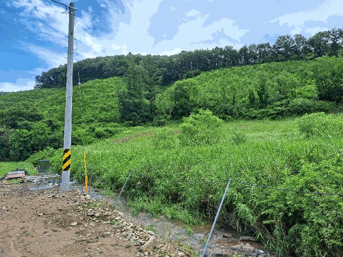 충북 음성군 원남면 삼용리 137 전 사진 3