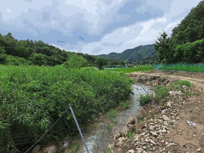 충북 음성군 원남면 삼용리 137 전 사진 4