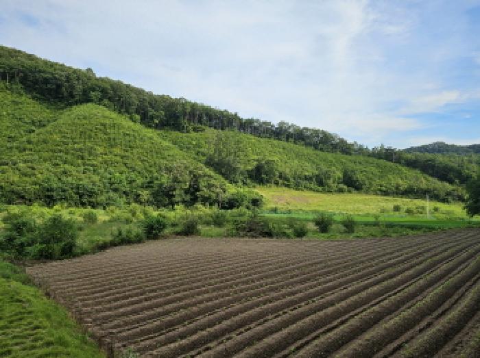 충북 음성군 원남면 삼용리 137 전 사진 5