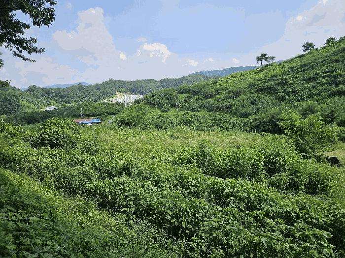 충북 음성군 감곡면 오향리 165 주택 사진 5