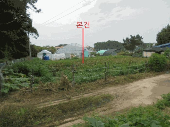 충북 음성군 금왕읍 유촌리 347-1 대지 사진 3