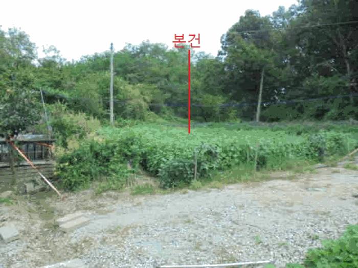 충북 음성군 금왕읍 유촌리 347-1 대지 사진 4