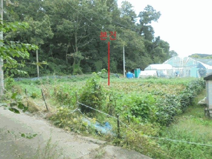 충북 음성군 금왕읍 유촌리 347-1 대지 사진 6