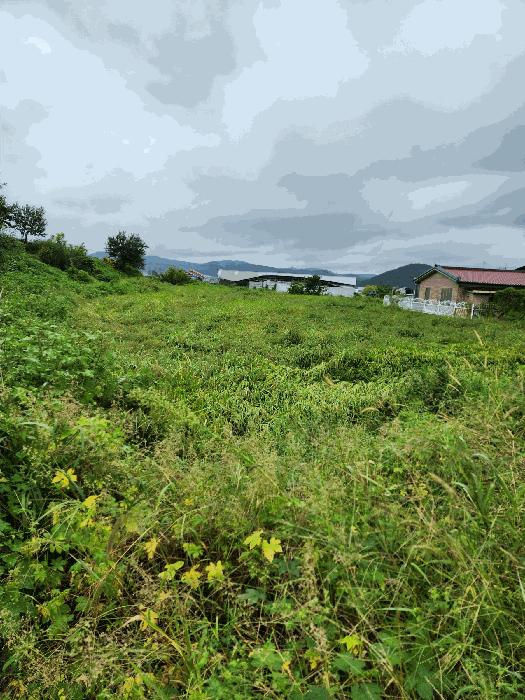 충북 청주시 청원구 북이면 장양리 391 전 사진 2