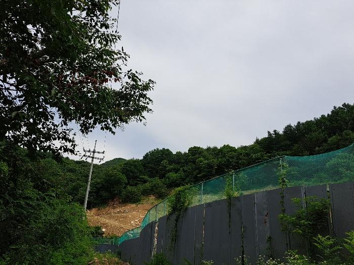 충북 제천시 덕산면 도전리 1038 임야 사진 5