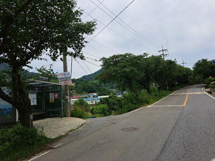 충북 제천시 덕산면 도전리 1038 임야 사진 6