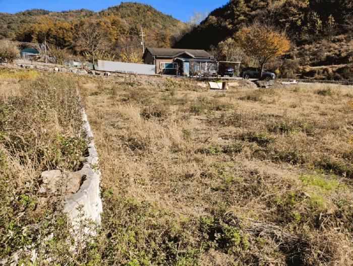 충북 음성군 금왕읍 금석리 20-3 전 사진 2