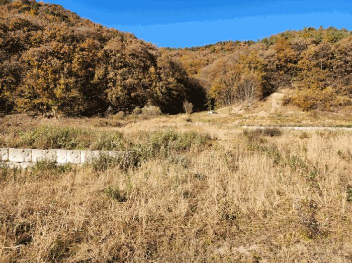 충북 음성군 금왕읍 금석리 20-3 전 사진 4