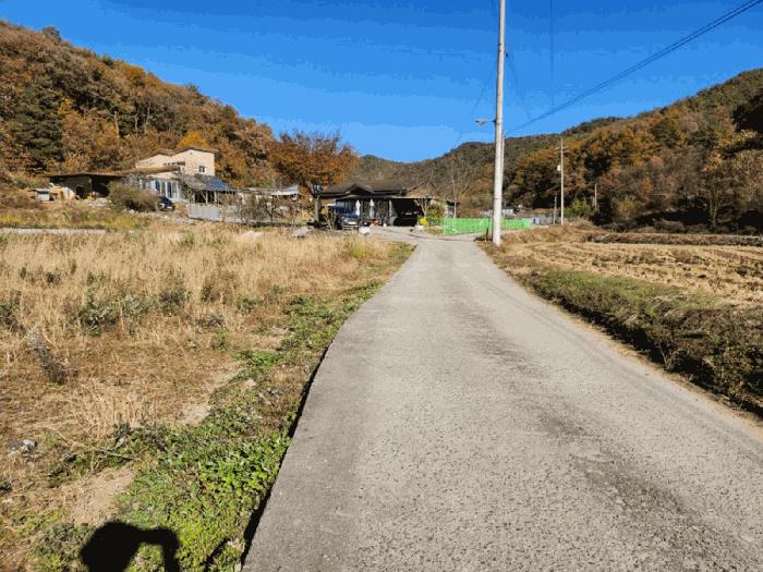 충북 음성군 금왕읍 금석리 20-3 전 사진 6