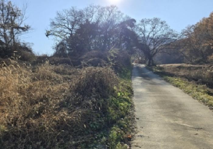 충북 음성군 음성읍 용산리 1834 전 사진 6