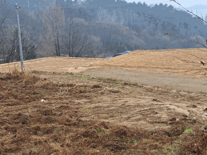 충북 음성군 음성읍 읍내리 54-2 전 사진 3