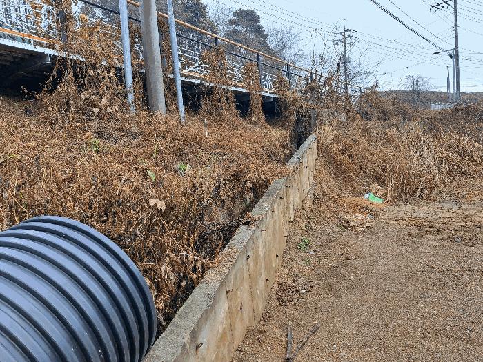 충북 음성군 음성읍 읍내리 54-2 전 사진 4