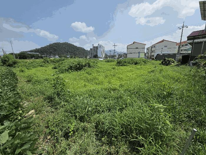 충북 음성군 감곡면 오향리 805 답 사진 3