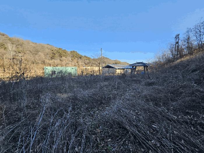 충북 제천시 송학면 포전리 311 전 경매 물건 사진