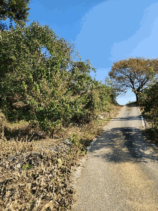 충북 음성군 금왕읍 육령리 산81-3 임야 사진 3