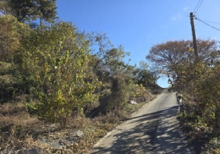 충북 음성군 금왕읍 육령리 산81-3 임야 사진 5