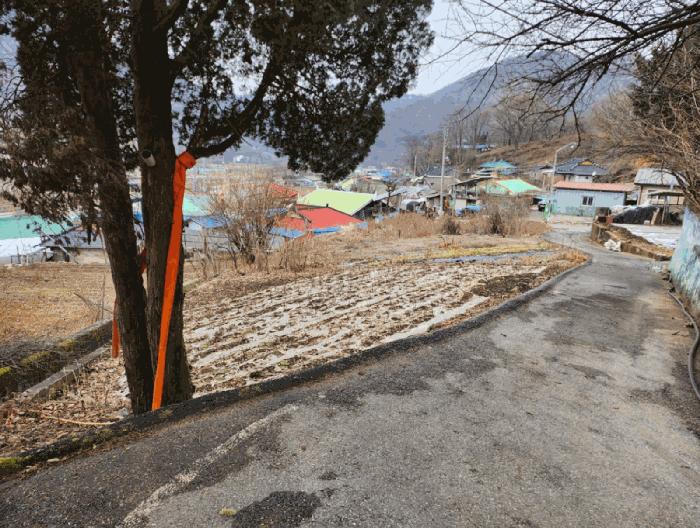 충북 제천시 덕산면 신현리 618-4 전 경매 물건 사진