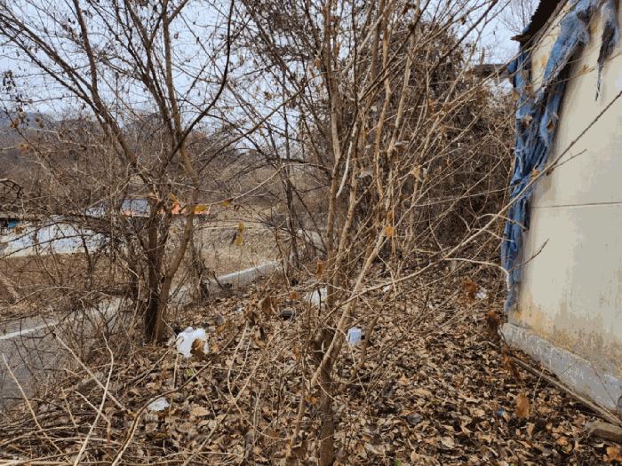 충북 제천시 덕산면 신현리 618-4 전 사진 3