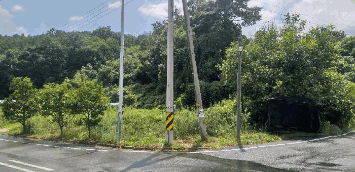 충북 영동군 학산면 봉소리 1094 전 사진 3