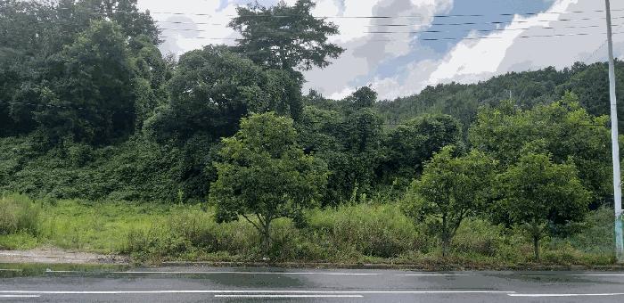 충북 영동군 학산면 봉소리 1094 전 사진 4